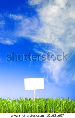 Blank white sing on neatly trimmed green grass against a blue cloudy sky background.