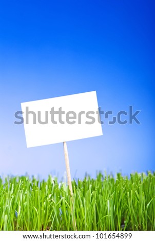 Blank white sing on neatly trimmed green grass against a blue background.