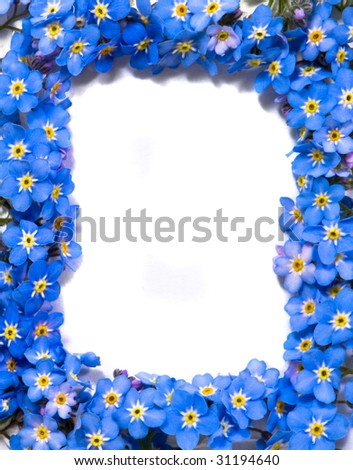 Forget Flower Picture on Forget Me Not Flowers Frame Stock Photo 31194640 Shutterstock
