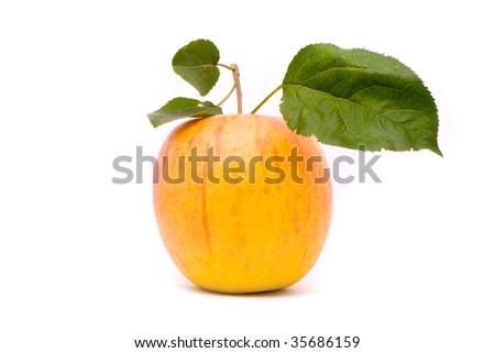 yellow fresh apples with leaves on studio white