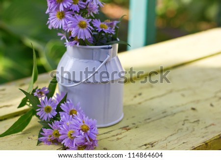 Bunch of bright blue flowers (aster) in violet bucket on bench on garden  background. Focus on flowers on bench.