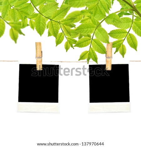 Empty cardboard tag on clothes line rope on garden background
