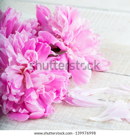 Fresh peony on wooden background. Selective focus. Square image.