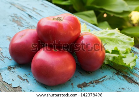 Fresh organic tomato, lettuce on wooden background. Rustic style. Organic/natural/bio/eco  products. Selective focus.
