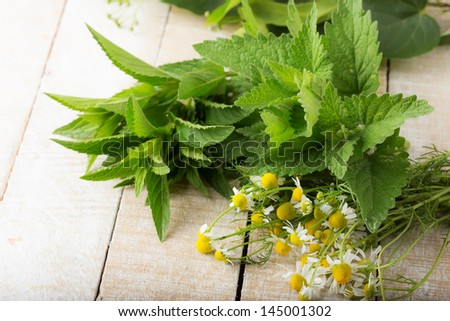 Fresh herbs for tea on wooden background. Fresh melissa, mint, camomile. Selective focus.