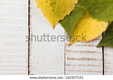Bright autumnal leaves on white wooden background. Autumn background. Place for your text.