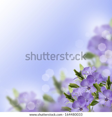 Postcard with fresh flowers. Abstract background for design.