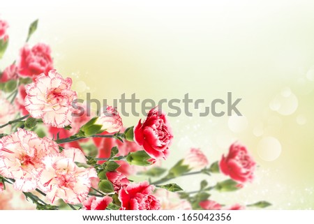 Postcard with fresh flowers. Abstract background for design. Flowers background.