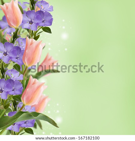 Flowers border from tulips and periwinkle on pink background. Place for your text.