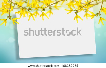 Postcard with fresh flowers and empty place for text. Abstract background for design.