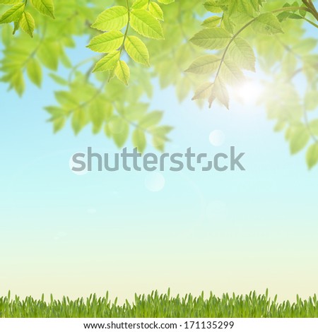 Postcard with fresh green leaves, grass and place for your text. Spring background. Abstract background for your design.
