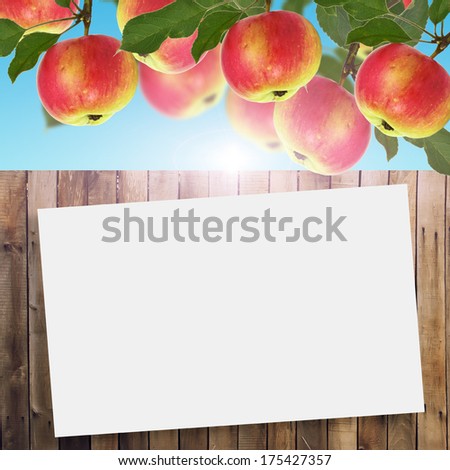 Fresh red apples with leaves and wooden background for your text. Abstract background for design.