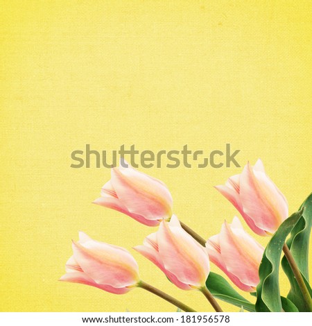 Postcard with fresh  tulips on textured background. Abstract flower background.
