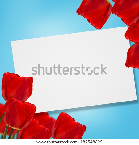 Postcard with fresh flowers tulips on blue background. Abstract background for design. Spring background. Floral background.