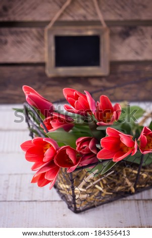 Postcard with fresh tulip flowers in bucket on wooden background. Empty tag for text. Selective focus. Spring, easter background.