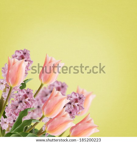 Postcard with fresh flowers tulips and hyacinths on  canvas background. Abstract background for design. Spring background. Floral background.