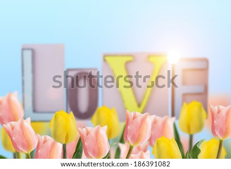 Fresh pink and yellow tulips and word love on sky background. Abstract background for design. Spring background.