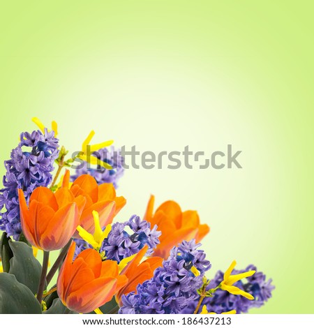 Holiday background with fresh flowers on white background. Abstract background for design. Spring background. Floral background.
