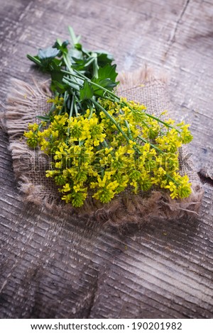 Rapeseed plant  on aged wooden background. Selective focus, vertical.