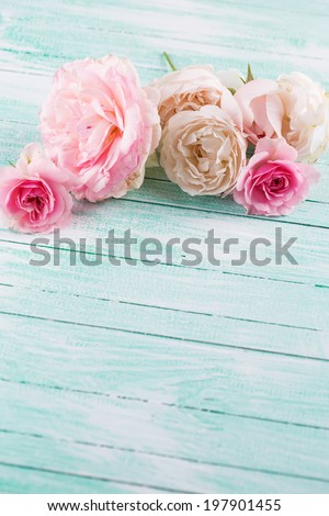 Fresh roses on wooden background. Selective focus, vertical.