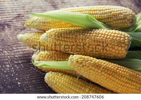 Fresh sweet corn on wooden table. Selective focus.