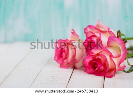 Background with fresh flowers and empty place  for your text. Roses on white wooden table. Selective focus is on right rose.