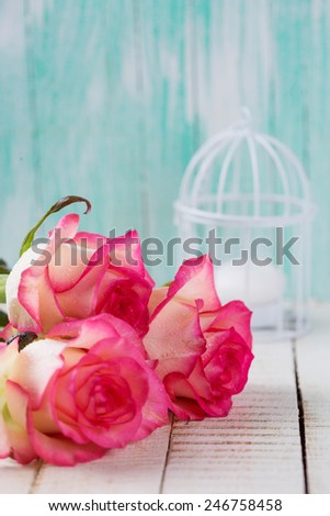 Background with fresh flowers. Roses on white wooden table. Selective focus is on right rose.
