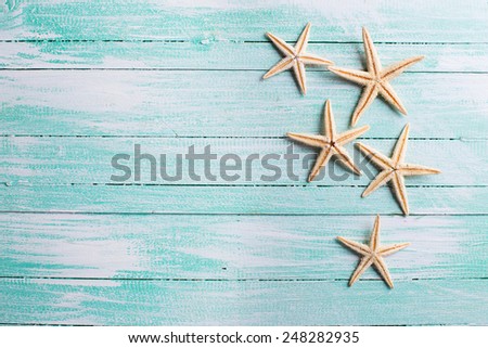 Marine items on wooden background. Sea objects on aged wooden table. Selective focus.