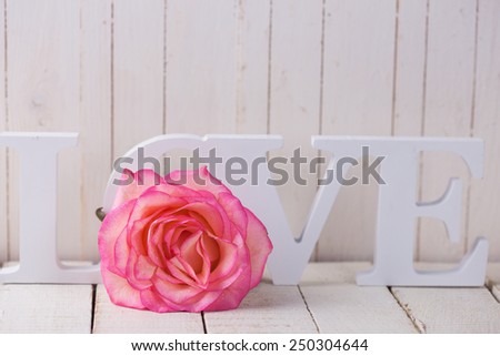 Background with fresh rose and word love.  Rose on white wooden table. Selective focus.