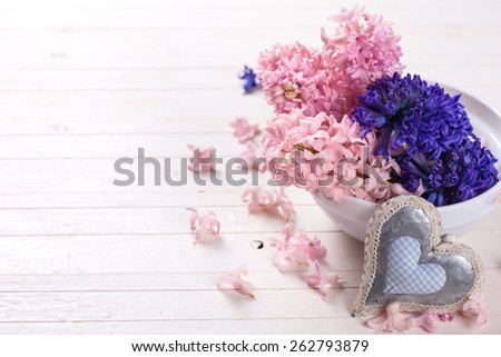 Postcard with fresh flowers hyacinths  and decorative heart on white  painted wooden planks. Selective focus. Place for text.