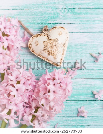 Postcard with fresh flowers hyacinths  and decorative heart on turquoise painted wooden planks. Selective focus. Place for text.