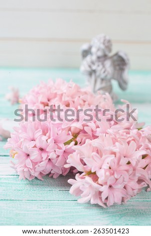 Postcard with fresh flowers hyacinths  and bird in ray of light on turquoise painted wooden planks against white wooden wall. Selective focus.
