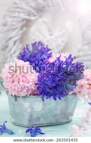 Postcard with fresh blue and pink flowers hyacinths  and decorative heart on white painted wooden planks. Selective focus. Place for text.