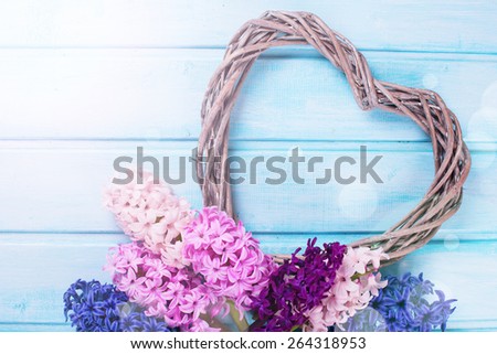 Postcard with fresh hyacinths  and  heart in ray of light on blue painted wooden  background. Romantic background. Selective focus. Place for text.