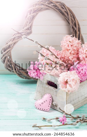 Background with fresh pink  hyacinths in box and willow flowers and heart in ray of light on turquoise painted  wooden planks. Selective focus.