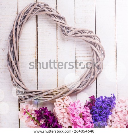 Postcard with fresh hyacinths  and  heart  in ray of light on painted wooden  background. Romantic background. Selective focus. Square image.