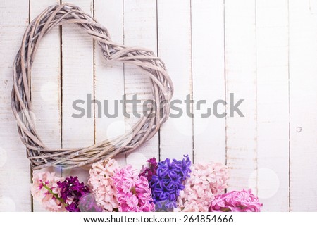 Postcard with fresh hyacinths  and  heart  in ray of light on painted wooden  background. Romantic background. Selective focus. Place for text.