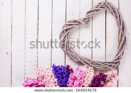 Postcard with fresh hyacinths  and  heart on painted wooden  background. Romantic background. Selective focus. Place for text.