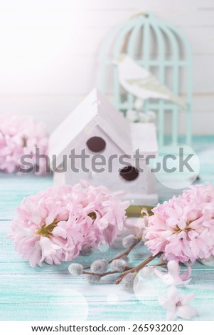 Postcard with fresh pink aromatic hyacinths flowers , willow branches, bird house  in ray of  light on aqua wooden background. Selective focus.