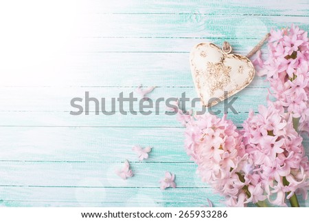 Postcard with fresh flowers hyacinths  and angel   in ray of light on turquoise  painted wooden planks. Selective focus. Place for text.