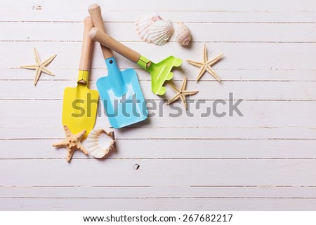 Garden tools for kids and sea object on white  painted wooden planks. Place for text. Vacation background.