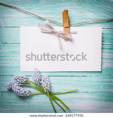 Fresh  spring muscaries  and empty tag on clothes line on turquoise  painted wooden planks. Selective focus. Place for text. Square image.