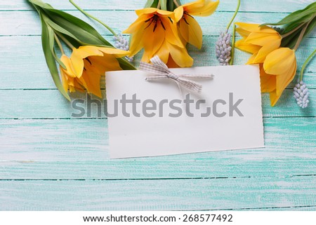 Postcard with fresh  spring yellow tulips, blue myscaries flowers  and empty tag on turquoise  painted wooden planks. Selective focus. Place for text.