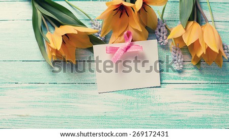 Postcard with fresh  spring yellow tulips, blue myscaries   and empty tag on turquoise  painted wooden background. Selective focus. Place for text. Toned image.