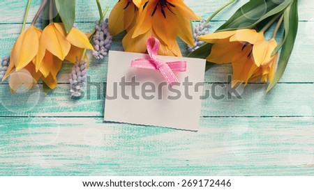 Postcard with  yellow tulips, blue myscaries   and empty tag on turquoise  painted wooden background. Selective focus. Place for text. Toned image.