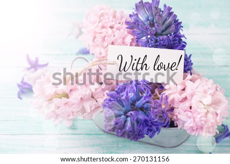 Postcard with fresh flowers hyacinths in bowl  in ray of light on turquoise painted wooden planks. Selective focus.