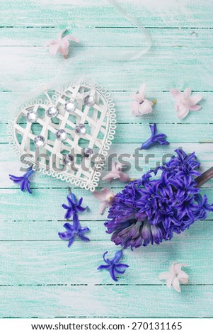 Postcard with decorative heart and fresh spring  flowers hyacinths on turquoise painted wooden planks. Selective focus. Place for text.