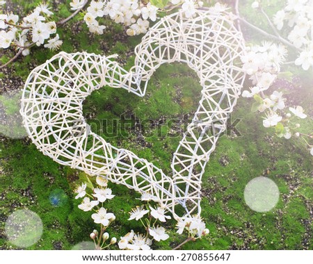 Decorative heart and spring flowering tree branches in ray of light  on green moss background. Selective focus. Romantic background.