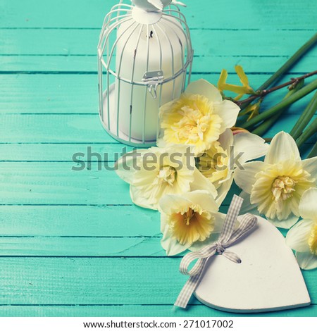 Fresh  spring yellow daffodils, candle in decorative bird cage and decorative heart   on turquoise  painted wooden planks. Selective focus. Place for text. Toned image.
