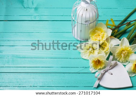 Fresh  spring yellow daffodils, candle in decorative bird cage and decorative heart   on turquoise  painted wooden planks. Selective focus. Place for text.